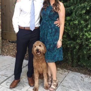 Rachel Roy cocktail dress